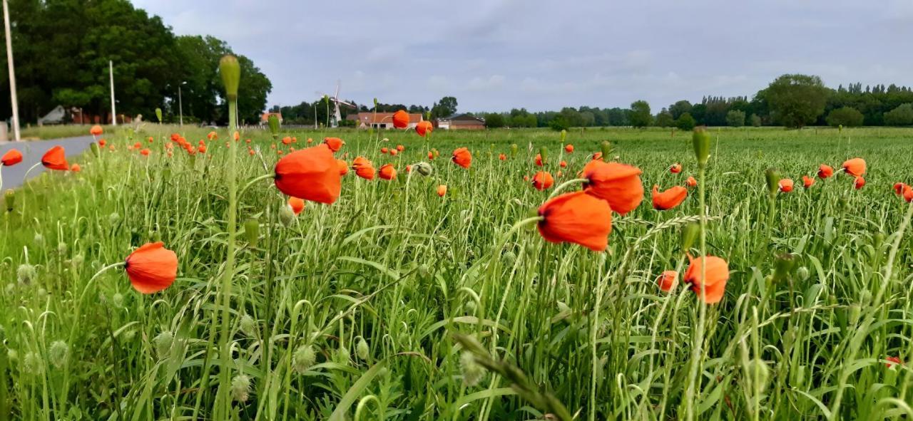Zee-Van-Tijd Oudenburg Kültér fotó